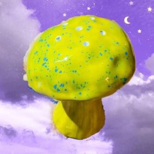 Cute Mushroom Salt & Pepper Shaker